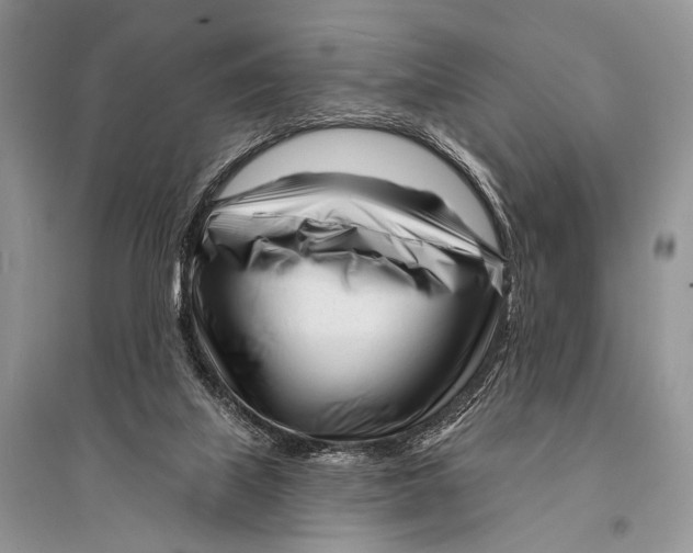 X0000094920067200712201229