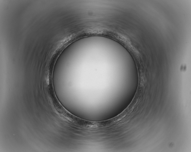X0000094920068200712201229