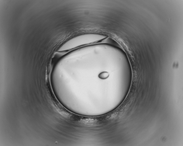 X0000094920069200712201229