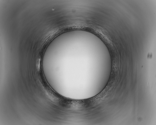 X0000094920070200712201229