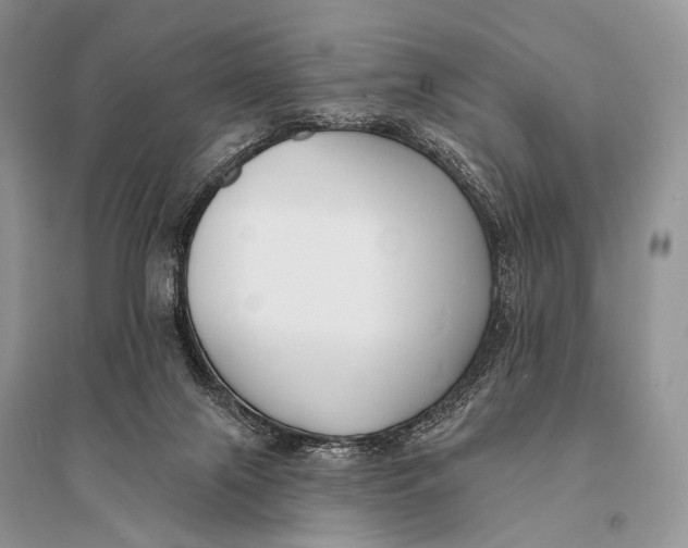 X0000094920071200712201229