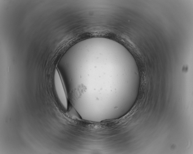 X0000094920074200712201229