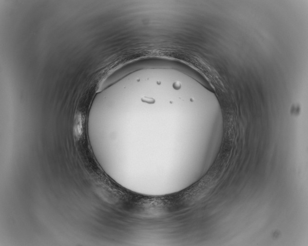 X0000094920075200712201229