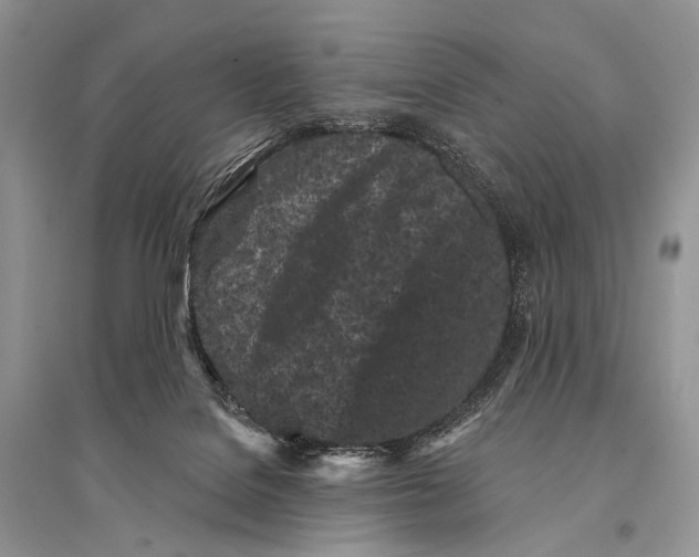 X0000094920076200712201229