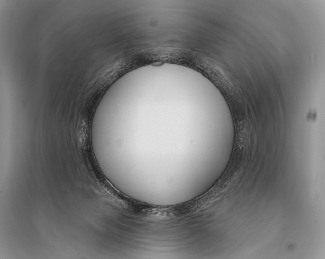 X0000094920077200712201229