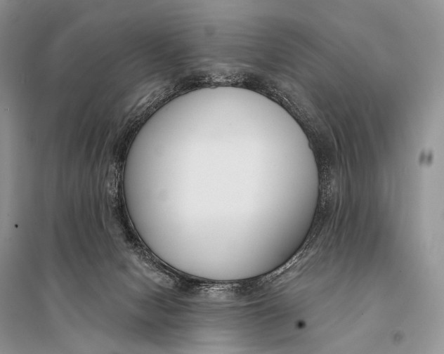 X0000094920078200712201229