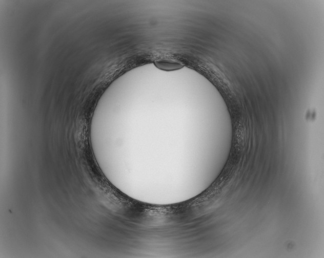 X0000094920079200712201229