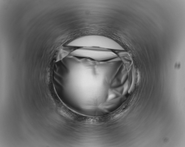 X0000094920080200712201229