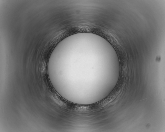 X0000094920081200712201229