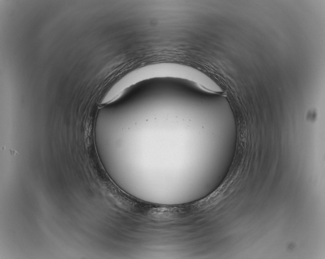 X0000094920082200712201229