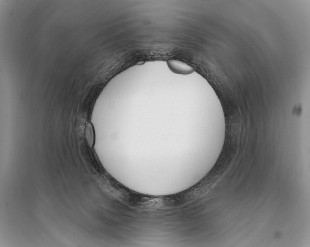 X0000094920083200712201229