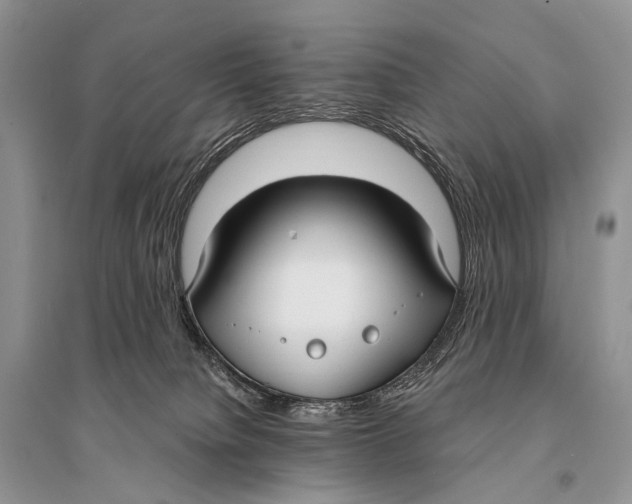 X0000094920084200712201229