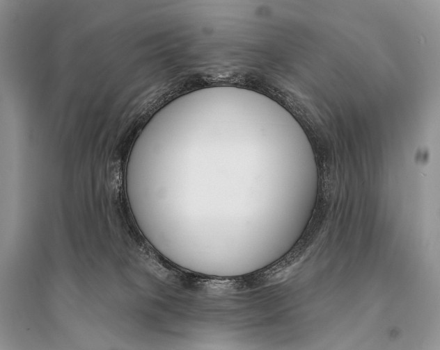 X0000094920085200712201229