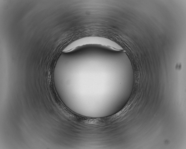 X0000094920086200712201229