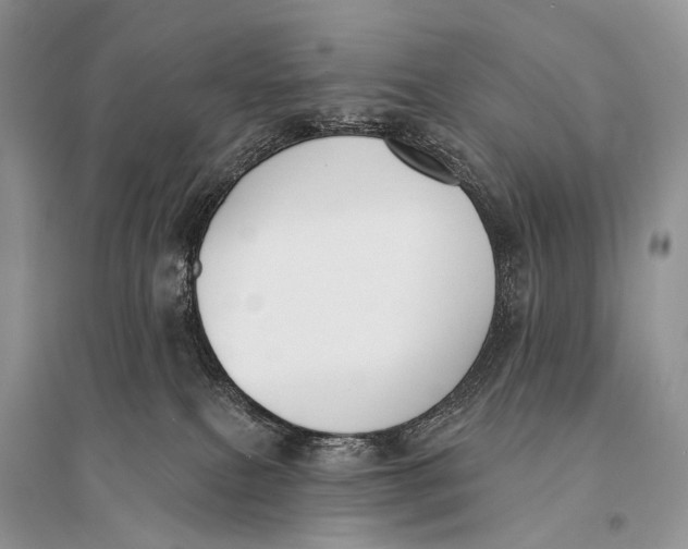 X0000094920087200712201229
