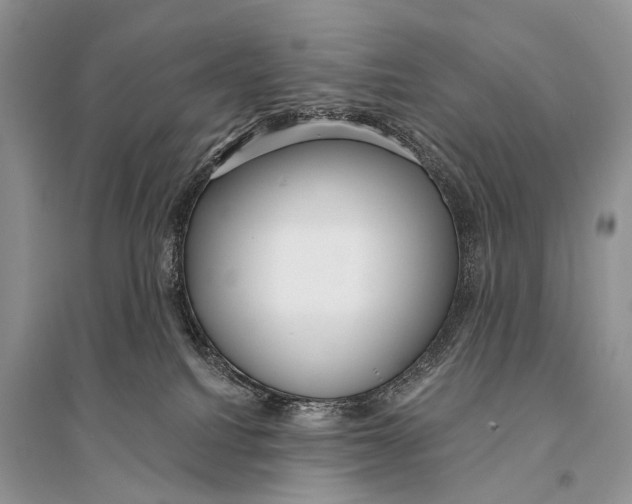 X0000094920088200712201229
