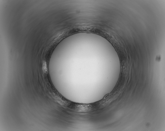 X0000094920089200712201229