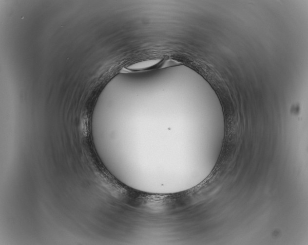 X0000094920090200712201229