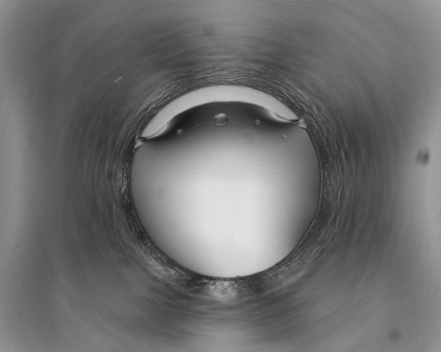 X0000094920091200712201229