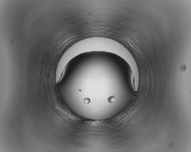 X0000094920092200712201229