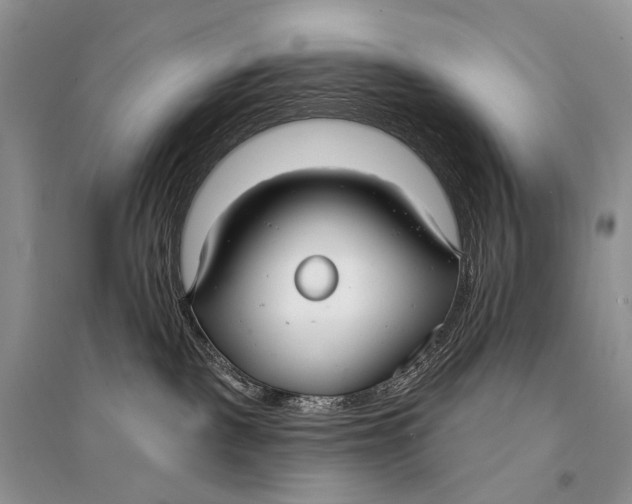 X0000094920093200712201229