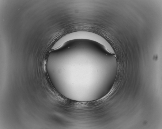X0000094920094200712201229