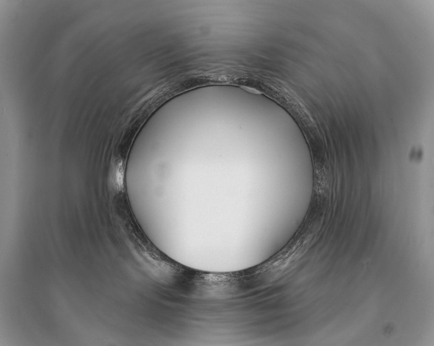 X0000094920095200712201229