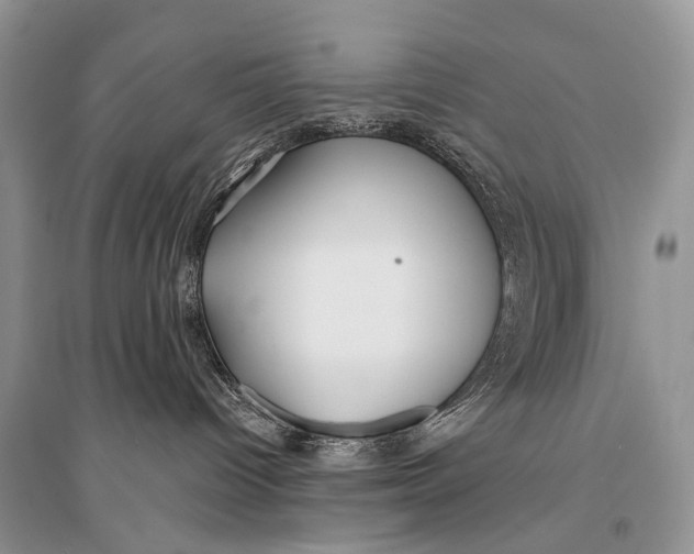 X0000094920096200712201229
