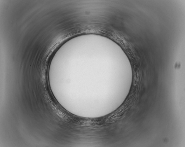 X0000094920098200712201229