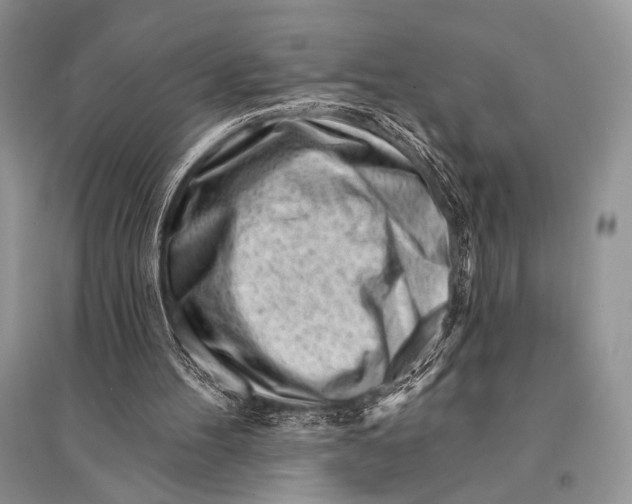 X0000094920100200712201229