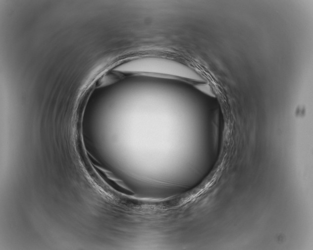 X0000094920101200712201229