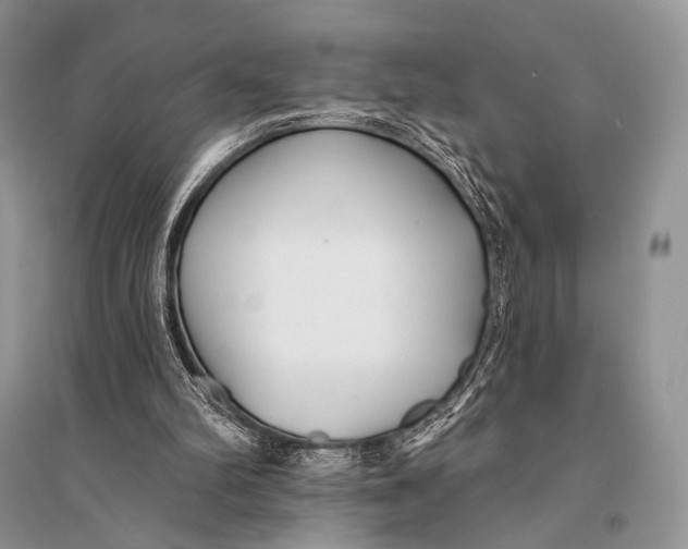X0000094920102200712201229