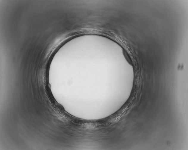 X0000094920103200712201229
