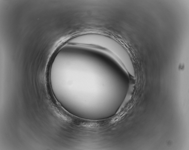 X0000094920104200712201229