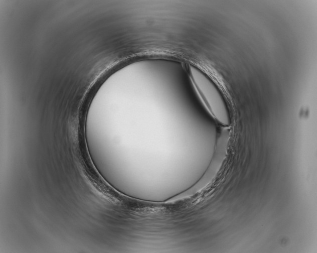 X0000094920108200712201229