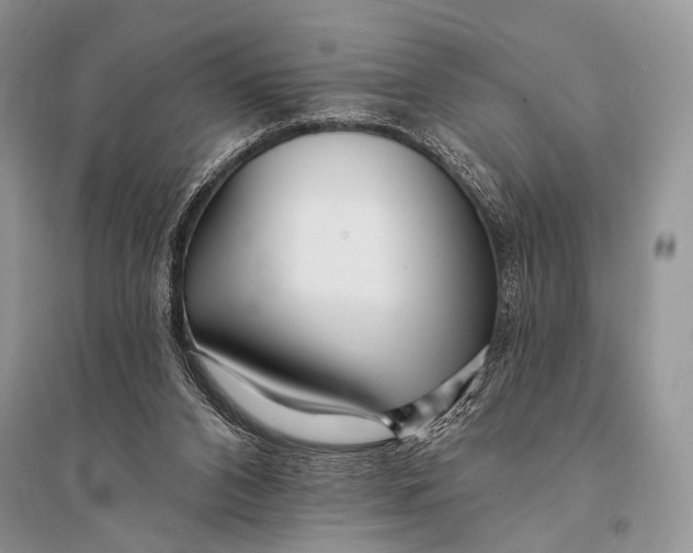X0000094920112200712201229