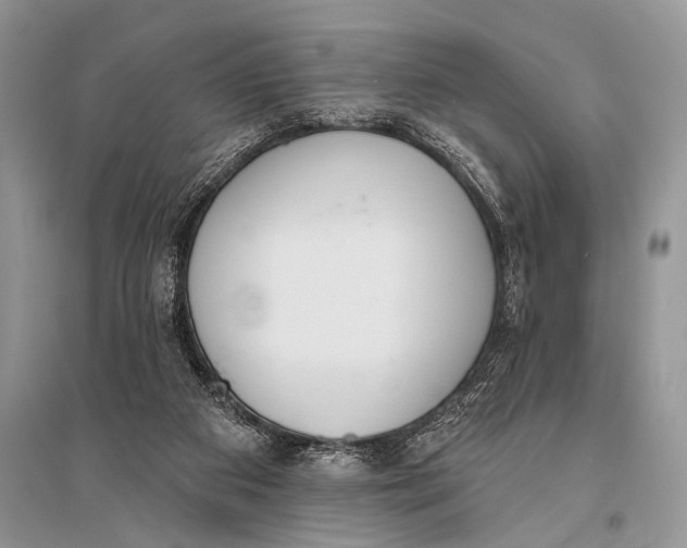 X0000094920113200712201229