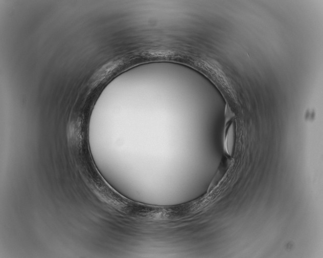 X0000094920116200712201228