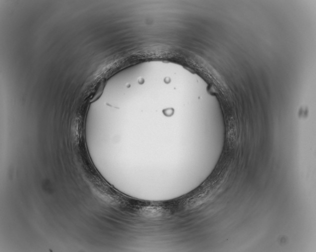 X0000094920119200712201228