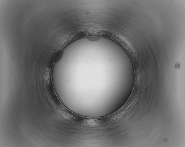 X0000094920121200712201228