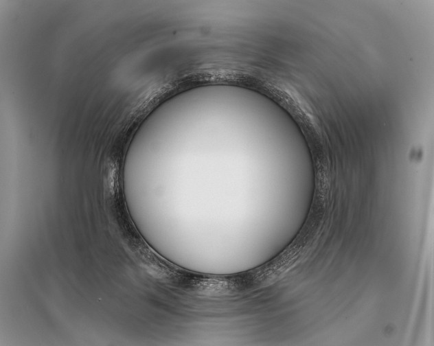 X0000094920123200712201228