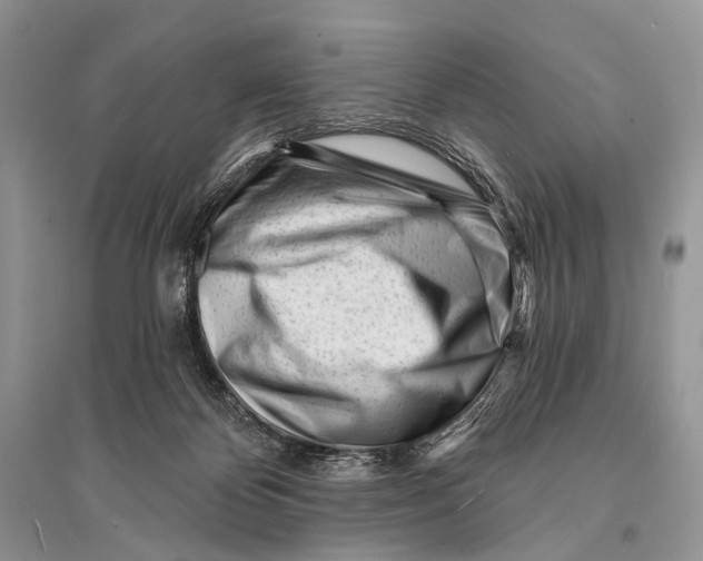 X0000094920124200712201228