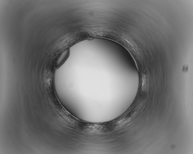 X0000094920125200712201228