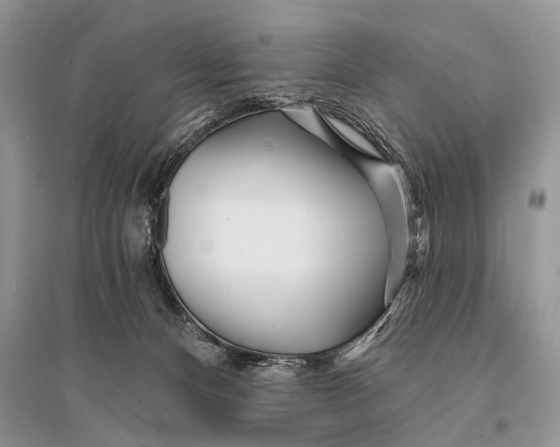 X0000094920128200712201228
