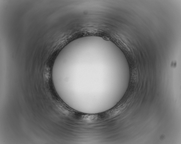 X0000094920135200712201228