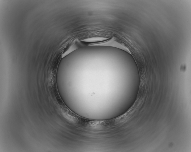 X0000094920136200712201228