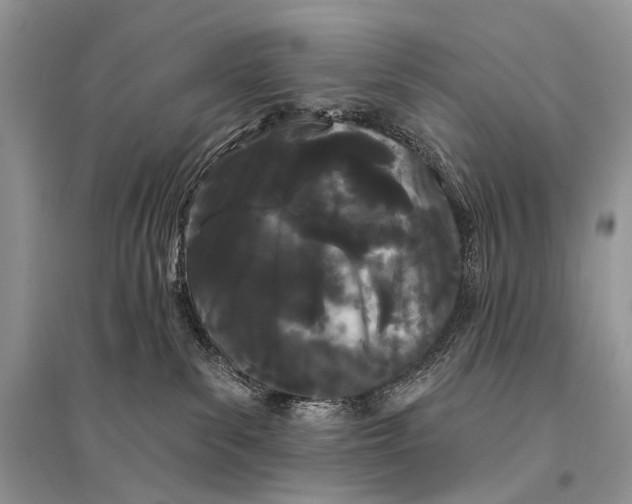 X0000094920139200712201228