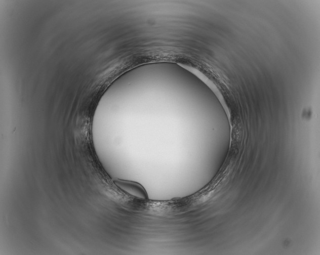 X0000094920141200712201228