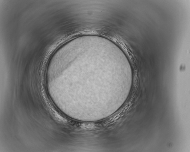 X0000094920145200712201227