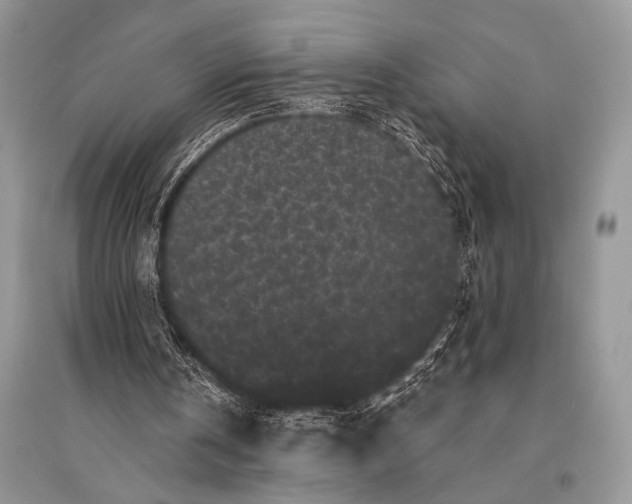 X0000094920146200712201227